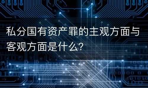 私分国有资产罪的主观方面与客观方面是什么？