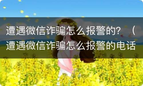 遭遇微信诈骗怎么报警的？（遭遇微信诈骗怎么报警的电话）