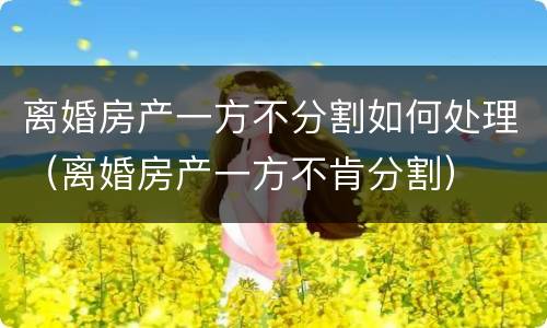 离婚房产一方不分割如何处理（离婚房产一方不肯分割）