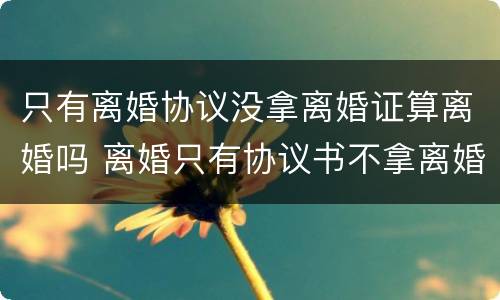 只有离婚协议没拿离婚证算离婚吗 离婚只有协议书不拿离婚证书行吗