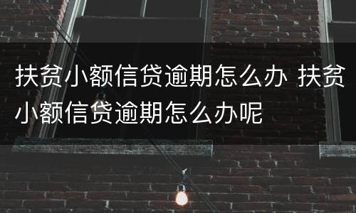 扶贫小额信贷逾期怎么办 扶贫小额信贷逾期怎么办呢