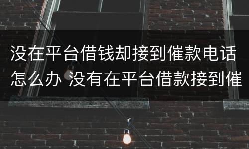 没在平台借钱却接到催款电话怎么办 没有在平台借款接到催款电话