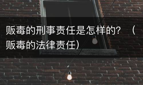贩毒的刑事责任是怎样的？（贩毒的法律责任）