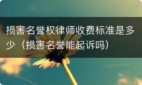 损害名誉权律师收费标准是多少（损害名誉能起诉吗）
