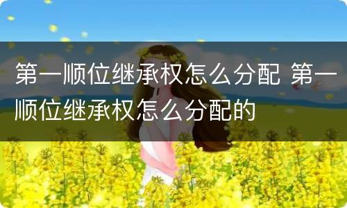 第一顺位继承权怎么分配 第一顺位继承权怎么分配的