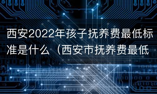 西安2022年孩子抚养费最低标准是什么（西安市抚养费最低标准是多少）