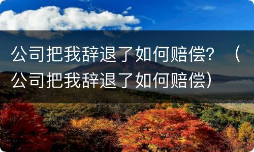 公司把我辞退了如何赔偿？（公司把我辞退了如何赔偿）