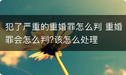 犯了严重的重婚罪怎么判 重婚罪会怎么判?该怎么处理