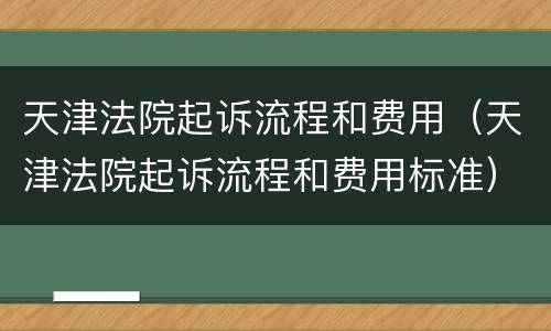天津法院起诉流程和费用（天津法院起诉流程和费用标准）