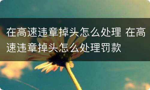 在高速违章掉头怎么处理 在高速违章掉头怎么处理罚款
