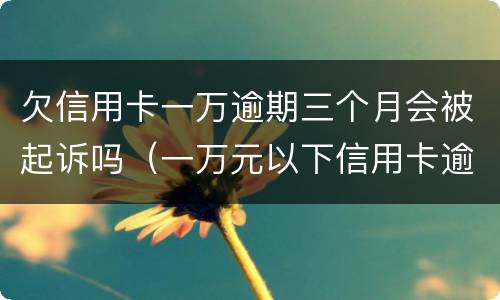 欠信用卡一万逾期三个月会被起诉吗（一万元以下信用卡逾期三个月会被起诉吗）