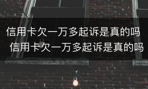 信用卡欠一万多起诉是真的吗 信用卡欠一万多起诉是真的吗吗