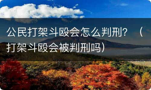 公民打架斗殴会怎么判刑？（打架斗殴会被判刑吗）