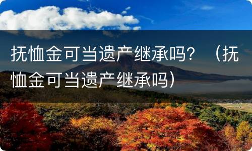 抚恤金可当遗产继承吗？（抚恤金可当遗产继承吗）