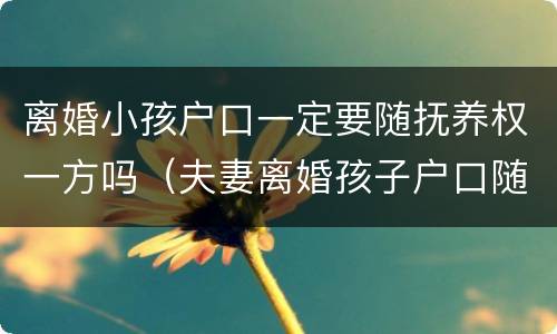 离婚小孩户口一定要随抚养权一方吗（夫妻离婚孩子户口随谁）