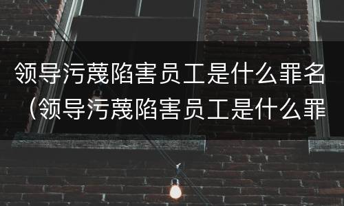 领导污蔑陷害员工是什么罪名（领导污蔑陷害员工是什么罪名呢）
