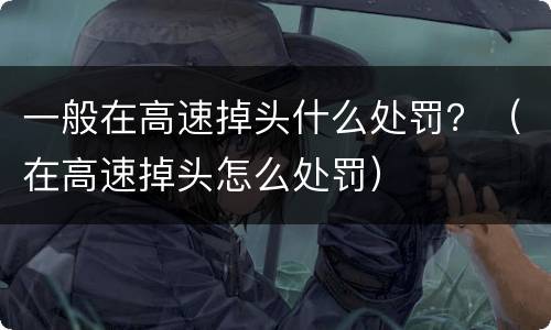 一般在高速掉头什么处罚？（在高速掉头怎么处罚）