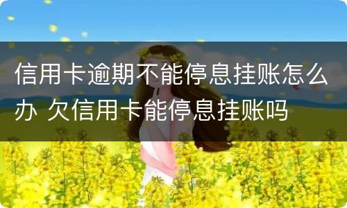 信用卡逾期不能停息挂账怎么办 欠信用卡能停息挂账吗