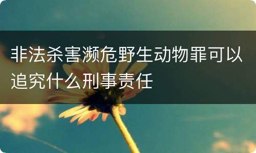 非法杀害濒危野生动物罪可以追究什么刑事责任