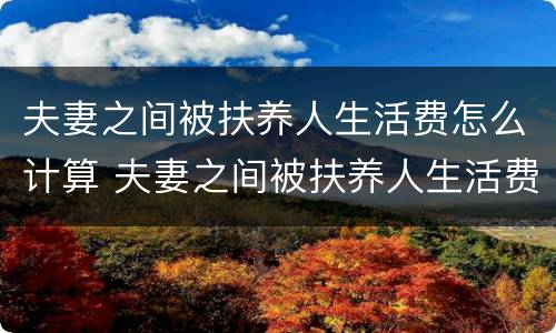 夫妻之间被扶养人生活费怎么计算 夫妻之间被扶养人生活费怎么计算的