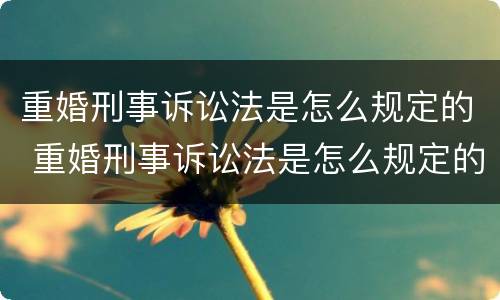 重婚刑事诉讼法是怎么规定的 重婚刑事诉讼法是怎么规定的呢