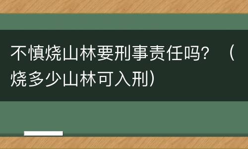 不慎烧山林要刑事责任吗？（烧多少山林可入刑）