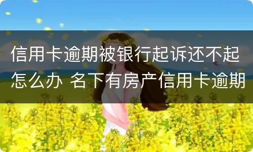 信用卡逾期被银行起诉还不起怎么办 名下有房产信用卡逾期被银行起诉,确实还不起,怎么办