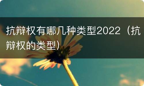 抗辩权有哪几种类型2022（抗辩权的类型）