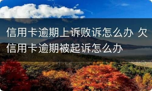 信用卡逾期上诉败诉怎么办 欠信用卡逾期被起诉怎么办