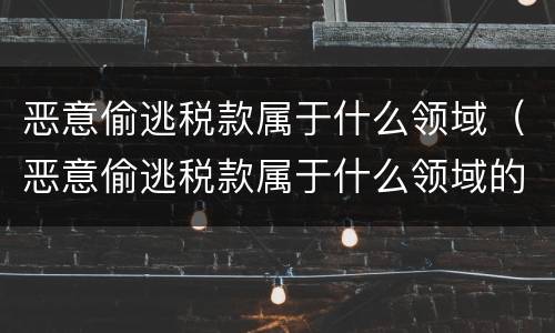 恶意偷逃税款属于什么领域（恶意偷逃税款属于什么领域的）