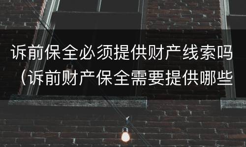诉前保全必须提供财产线索吗（诉前财产保全需要提供哪些材料）