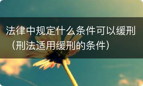 法律中规定什么条件可以缓刑（刑法适用缓刑的条件）