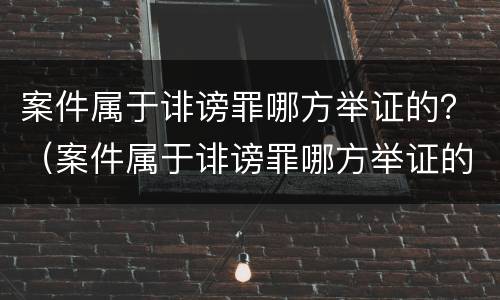 案件属于诽谤罪哪方举证的？（案件属于诽谤罪哪方举证的条款）