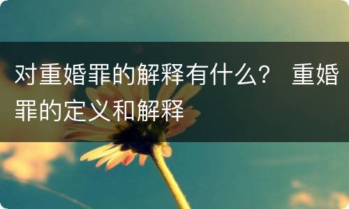 对重婚罪的解释有什么？ 重婚罪的定义和解释