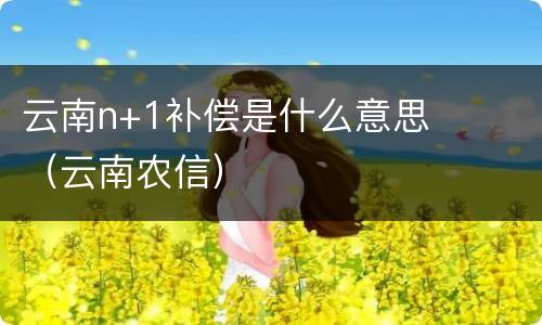 云南n+1补偿是什么意思（云南农信）