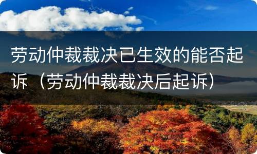 劳动仲裁裁决已生效的能否起诉（劳动仲裁裁决后起诉）