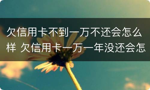 欠信用卡不到一万不还会怎么样 欠信用卡一万一年没还会怎么样
