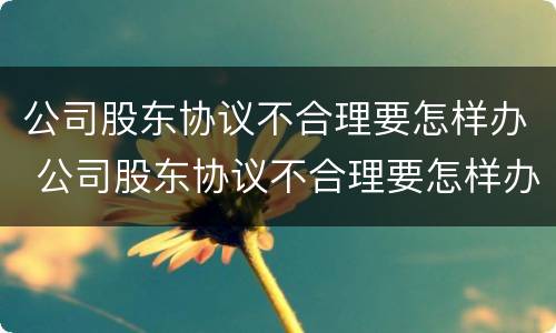 公司股东协议不合理要怎样办 公司股东协议不合理要怎样办理