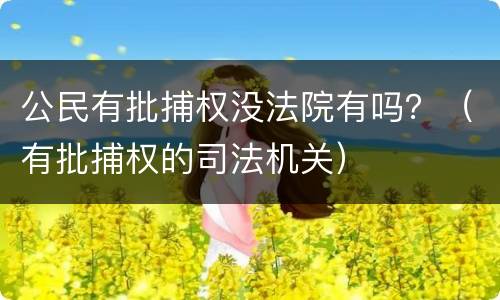 公民有批捕权没法院有吗？（有批捕权的司法机关）