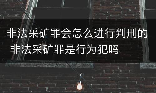非法采矿罪会怎么进行判刑的 非法采矿罪是行为犯吗