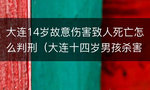 大连14岁故意伤害致人死亡怎么判刑（大连十四岁男孩杀害十岁女孩事件）