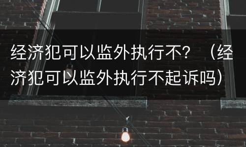 经济犯可以监外执行不？（经济犯可以监外执行不起诉吗）