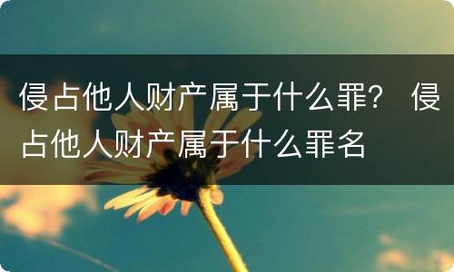 侵占他人财产属于什么罪？ 侵占他人财产属于什么罪名