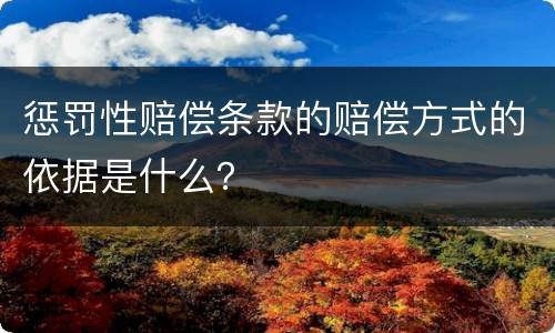 惩罚性赔偿条款的赔偿方式的依据是什么？