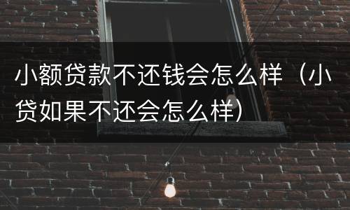 小额贷款不还钱会怎么样（小贷如果不还会怎么样）