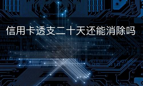 信用卡透支二十天还能消除吗