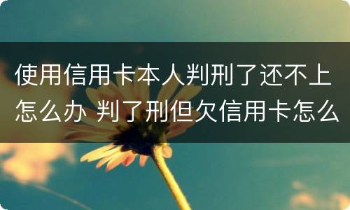 使用信用卡本人判刑了还不上怎么办 判了刑但欠信用卡怎么办