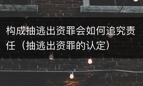 构成抽逃出资罪会如何追究责任（抽逃出资罪的认定）
