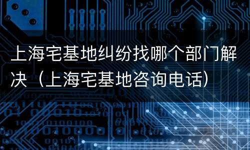 上海宅基地纠纷找哪个部门解决（上海宅基地咨询电话）