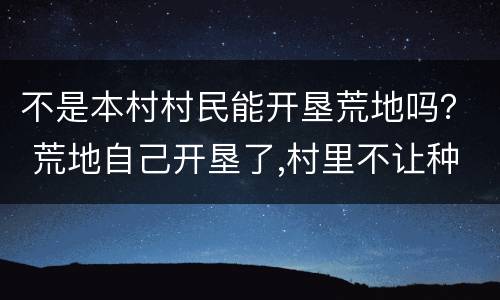 不是本村村民能开垦荒地吗？ 荒地自己开垦了,村里不让种地了